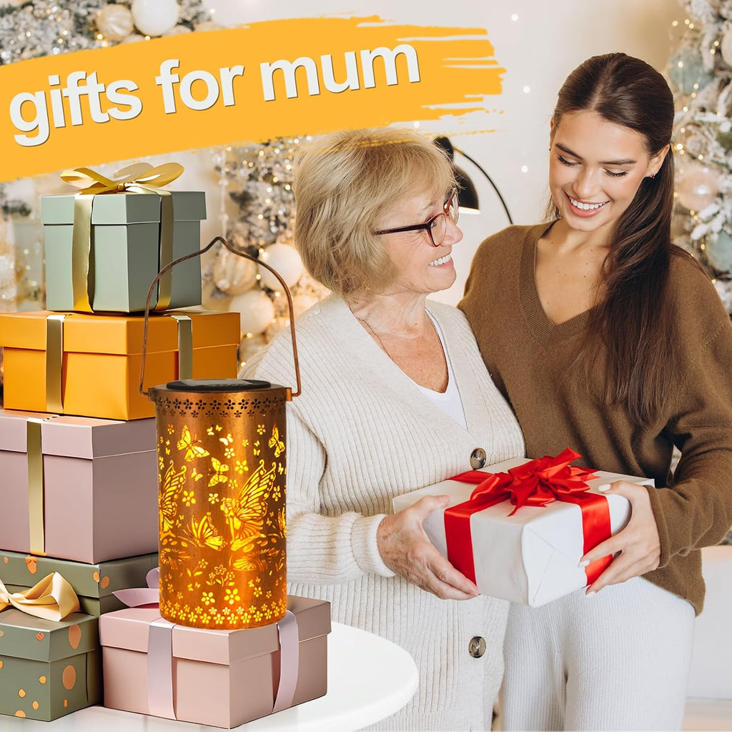 Fairy Solar Lanterns Outdoor Garden Lights